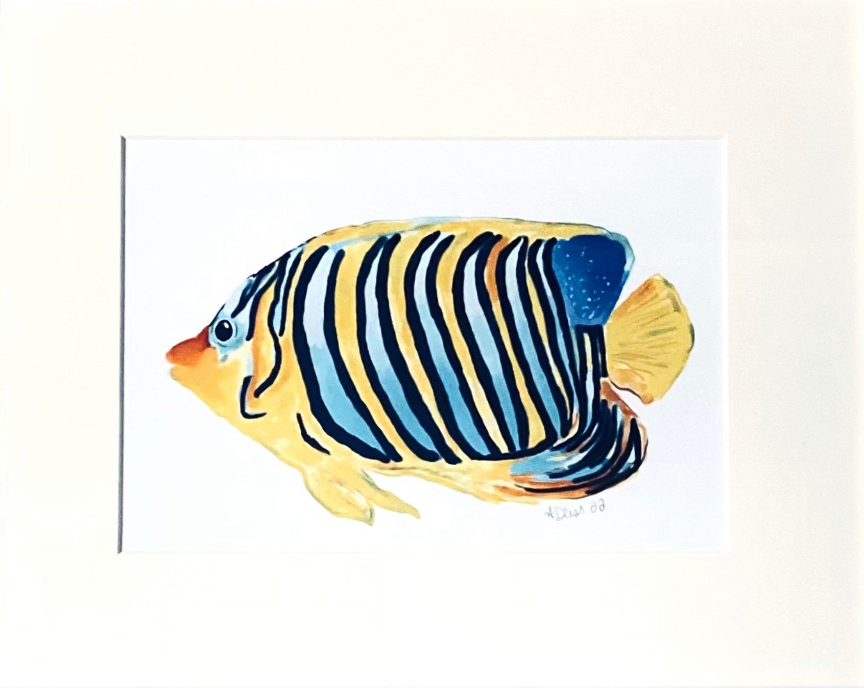 Angel Fish Fine Art - Blue Cava
