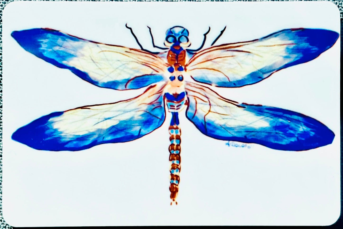 Dragonfly Magnet - Blue Cava
